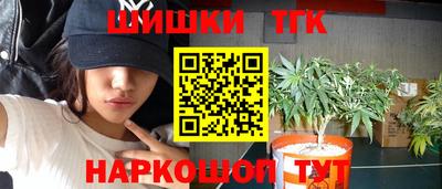 шишки Обь