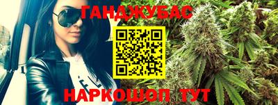шишки Обь