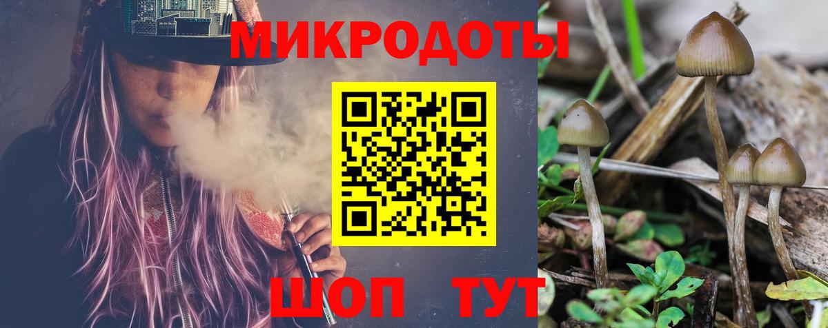 Ревда  Псилоцибиновые грибы мицелий  где купить наркоту  Вход с VPN 