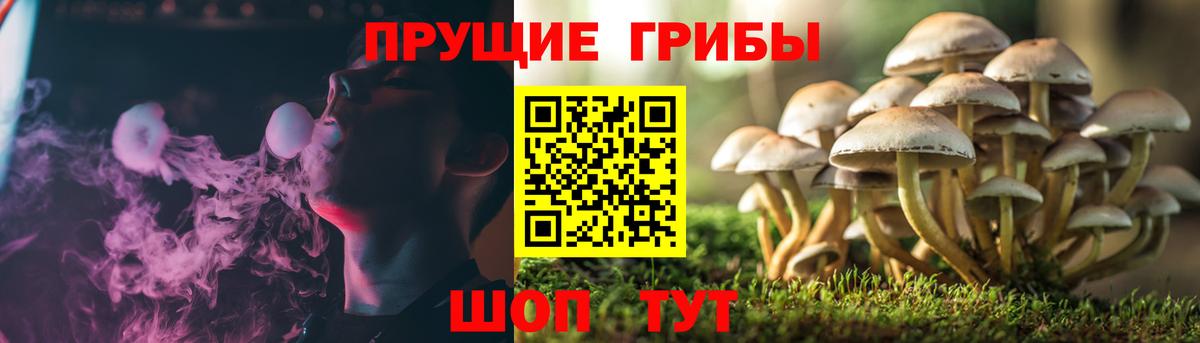 Галлюциногенные грибы прущие грибы Ревда